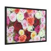 93854-113.jpg Colorful Roses Framed Poster