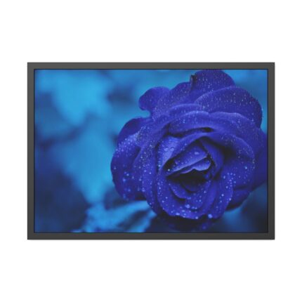 Blue Roses Framed Poster