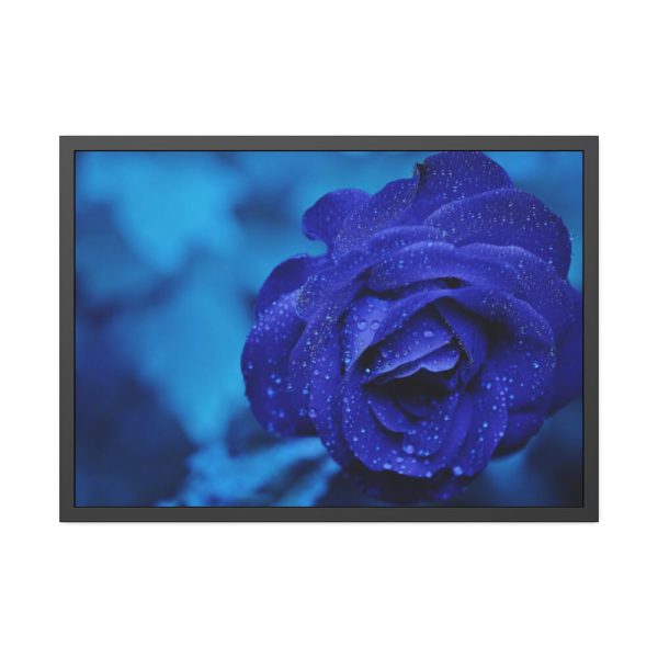 93854-116.jpg Blue Roses Framed Poster
