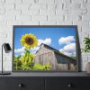 93854-123.jpg Sunflower and Farm Barn Framed Poster