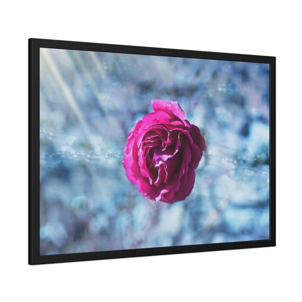 93854-125.jpg Garden Roses Framed Poster