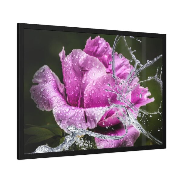 93854-129.jpg Rose Family Framed Poster