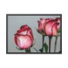 93854-144.jpg Red Oil Rose Framed Poster
