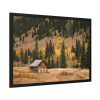 Woden Barn in Forest Framed Poster