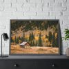 Woden Barn in Forest Framed Poster