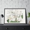 White Cape Coast Lily by Sydenham Edwards Framed Poster
