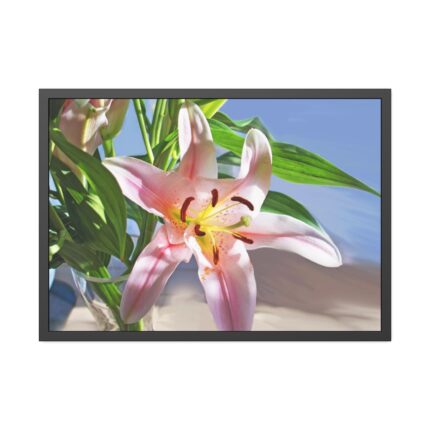 Pink Lily Framed Poster