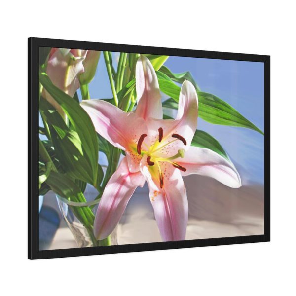 Pink Lily Framed Poster