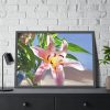 Pink Lily Framed Poster
