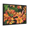 Orange Lily Framed Poster