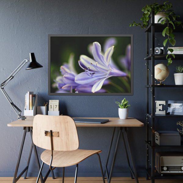 Purple White Glowing Lily Framed Poster