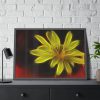 Yellow Flower Framed Poster