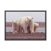 93854-204.jpg Polar Mama Bear and Cubs Framed Poster