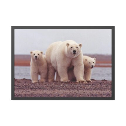 Polar Mama Bear and Cubs Framed Poster