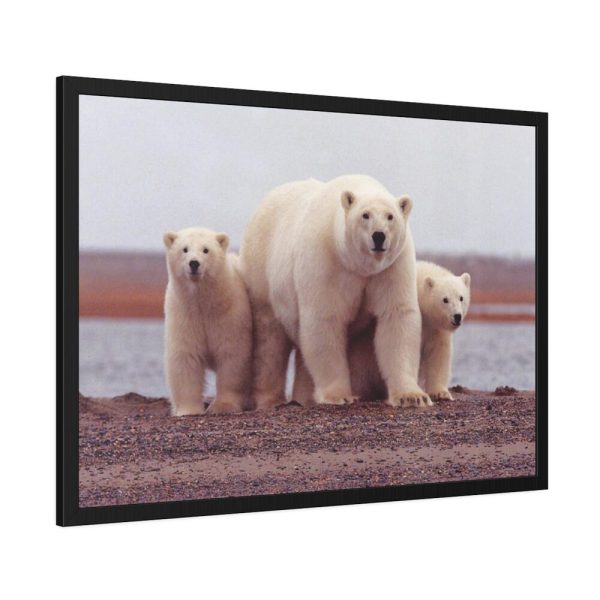 93854-205.jpg Polar Mama Bear and Cubs Framed Poster