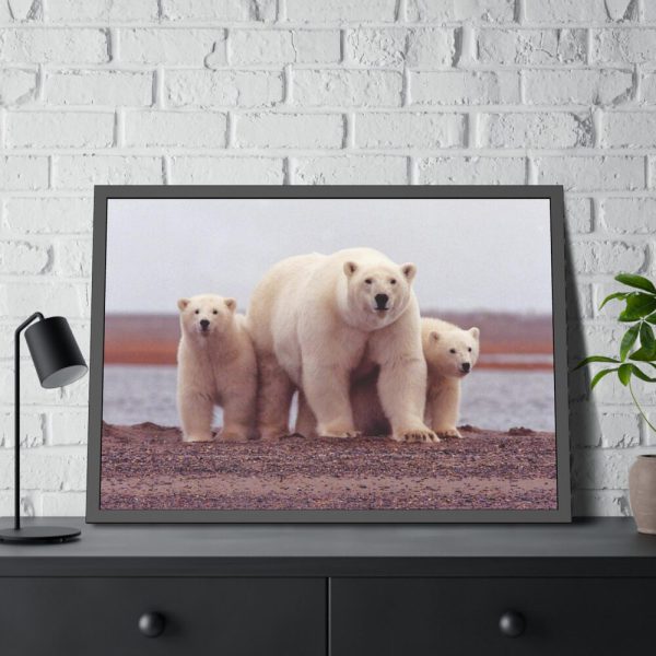 93854-207.jpg Polar Mama Bear and Cubs Framed Poster