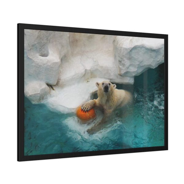 Polar Bear in Water Framed Poster