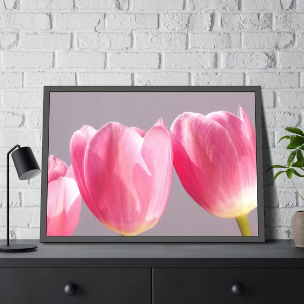 93854-219.jpg Pink Tulip Framed Poster