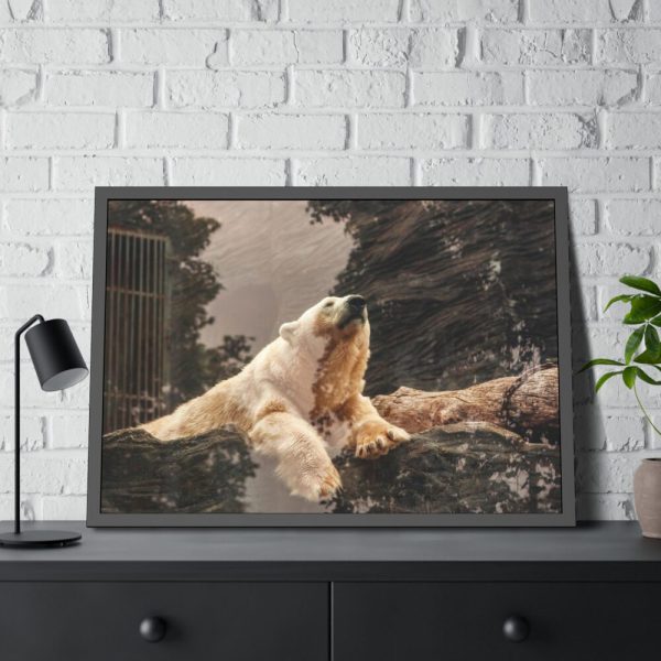 93854-223.jpg Polar Bear in Zoo Framed Poster