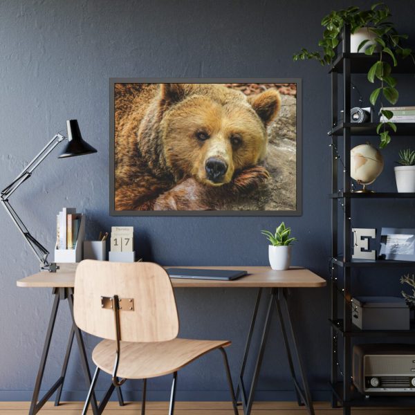 93854-230.jpg Bear is Resting Framed Poster