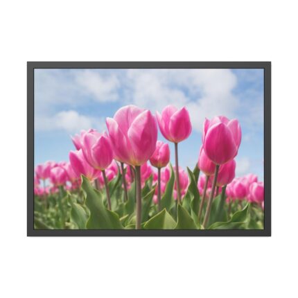 Tulip Beauty Framed Poster