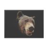 Face of Bear Framed Poster