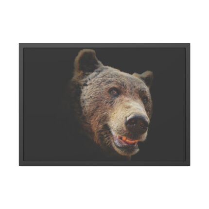Face of Bear Framed Poster