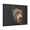 Face of Bear Framed Poster