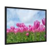 93854-257.jpg Pink Tulip Framed Poster
