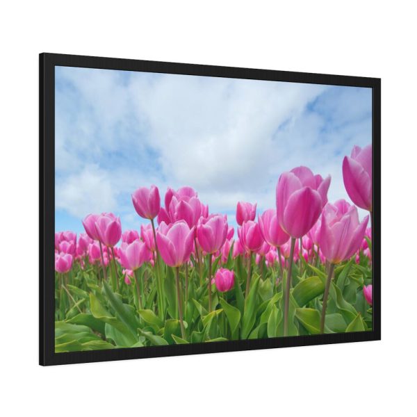 93854-257.jpg Pink Tulip Framed Poster