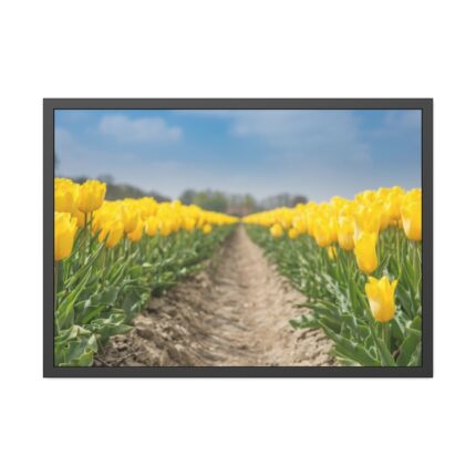 Yellow Tulip Framed Poster