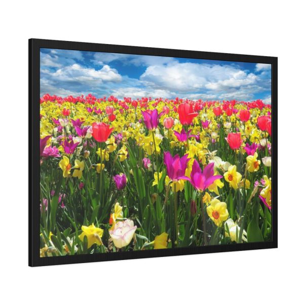 Tulips Beautiful Framed Poster