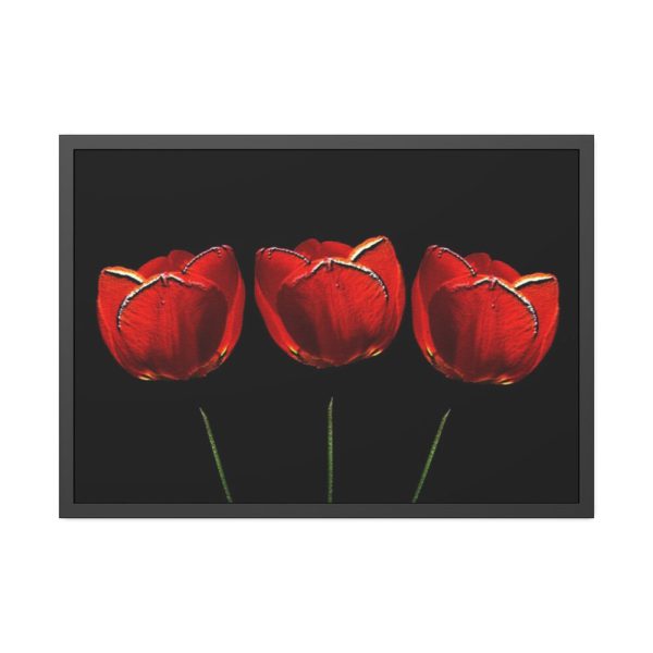93854-272.jpg Flowering Plant Framed Poster