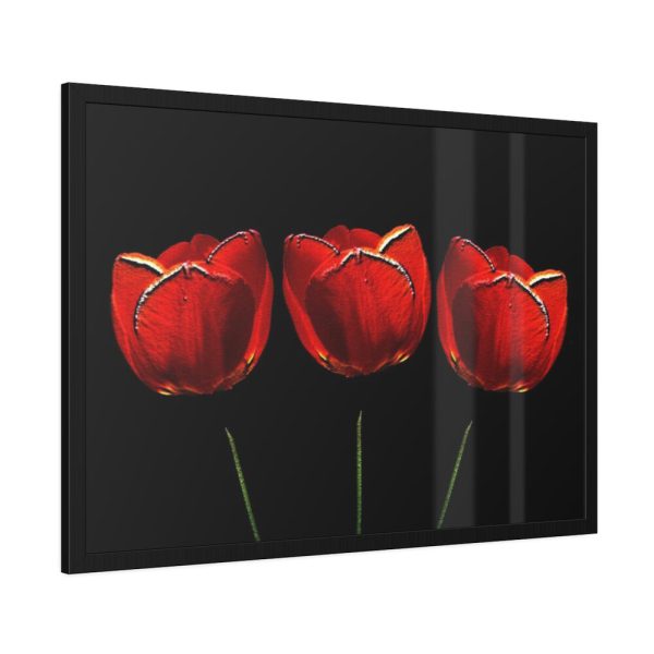 93854-273.jpg Flowering Plant Framed Poster