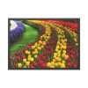 93854-276.jpg Beautiful Blossoms Framed Poster