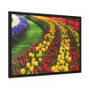 93854-277.jpg Beautiful Blossoms Framed Poster