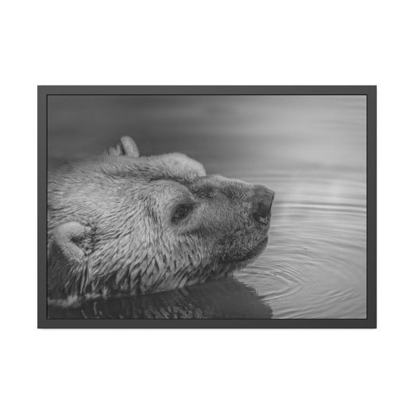 93854-280.jpg Polar Bear Black and White Framed Poster