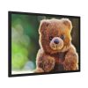 93854-285.jpg Cute Teddy Bear Framed Poster