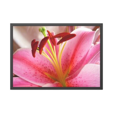 Colorful Pink Framed Poster