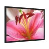 93854-289.jpg Colorful Pink Framed Poster