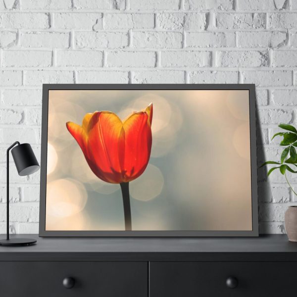 93854-295.jpg Sunny Framed Poster