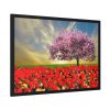 93854-297.jpg Signs of Spring Framed Poster