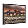 93854-301.jpg Australian Horses Framed Poster