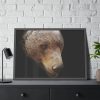 93854-323.jpg Bear Head Artistic Framed Poster
