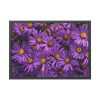 93854-344.jpg Purple Daisy Framed Poster