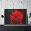 93854-355.jpg Red Daisy Framed Poster