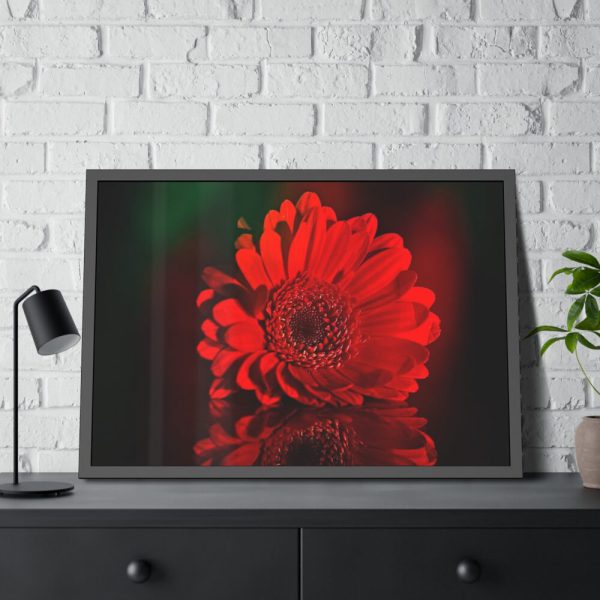 93854-355.jpg Red Daisy Framed Poster