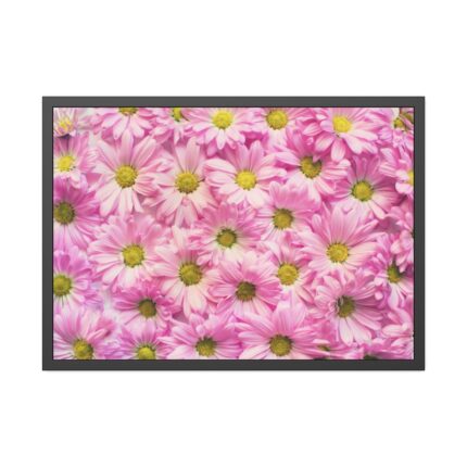 Pink Daisies Framed Poster