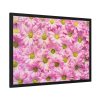 93854-361.jpg Pink Daisies Framed Poster