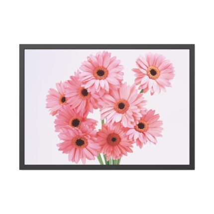 Pink Gerbera Daisies Framed Poster
